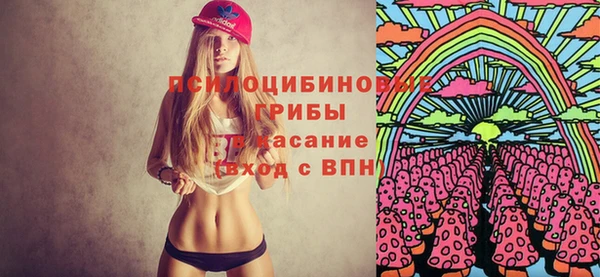 амф Алексеевка